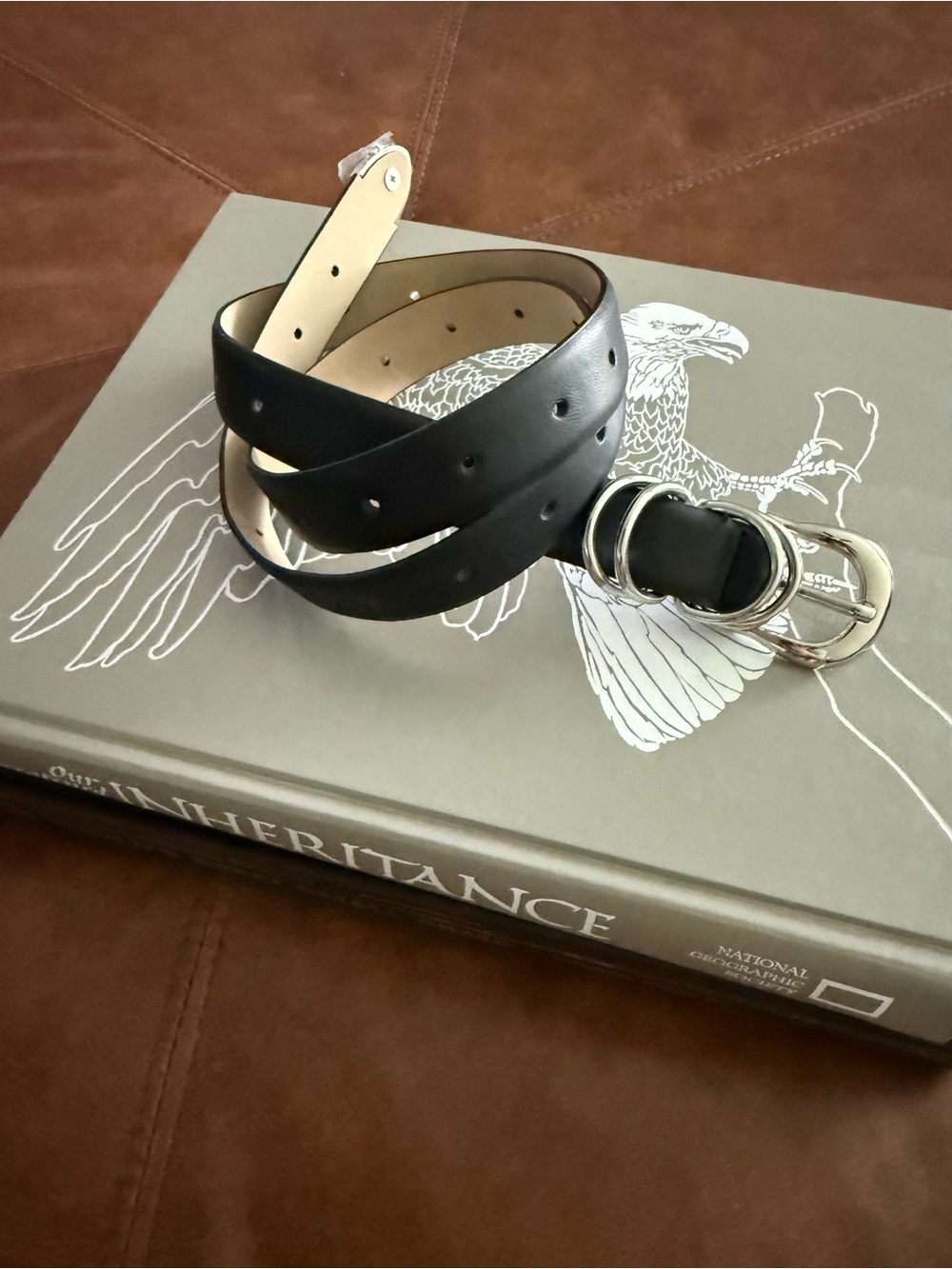 Vince Camuto Black Belt